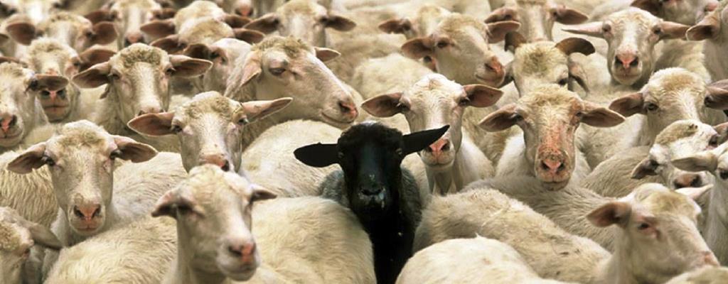 SÍNDROME DO REGRESSO: O DRAMA DE VOLTAR DO INTERCÂMBIO